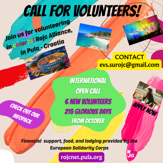 A Open call Volunteers 2 flyer 1