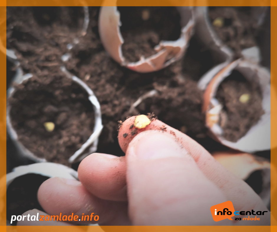 Mala razmjena sjemenja kod Pana i Šumeka.png