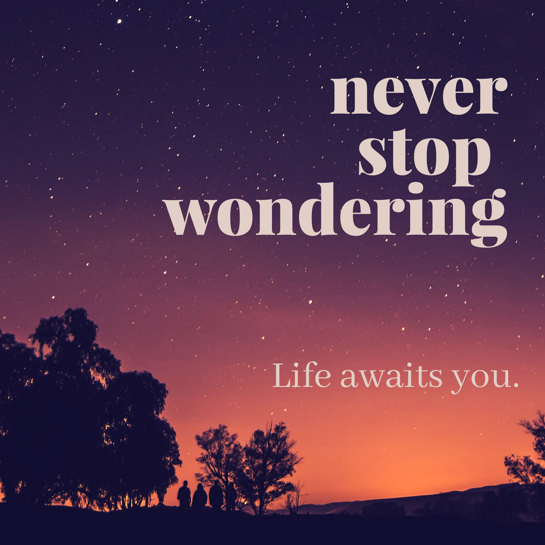never stop wondering