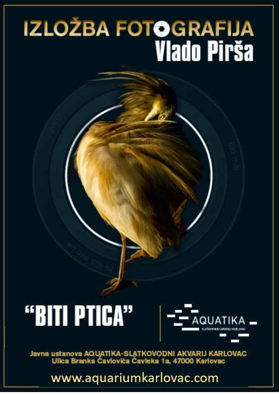 Online izložba plakat.png