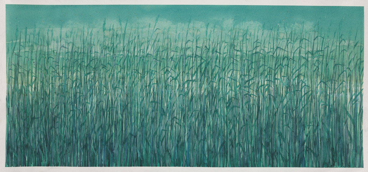 Siniša_Reberski_-_Ne_vidi_se_ništa_iza_trske_70x33cm_2024._1.jpg
